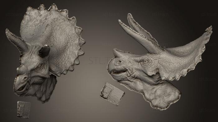 3D модель Парк Юрского периода (STL)